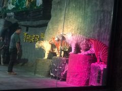 -清迈夜间动物园