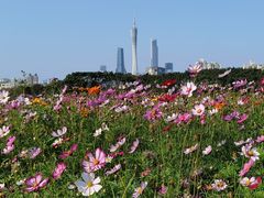-海珠湖公园