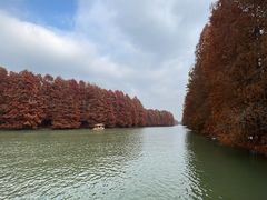 -上海海湾国家森林公园