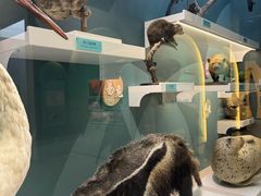 -国家自然博物馆