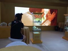 -东浩兰生上海世博展览馆