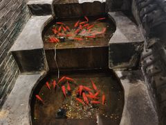 -佳兰雅序融合菜(高新店)