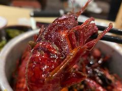 -江味龙虾馆·裸蓝龙虾(南山店)
