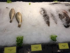 -温州龙湾国际机场温德姆酒店