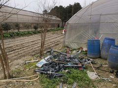 -洪湖家庭农场·团建·露营·会议