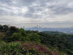 -广州市白云山风景名胜区