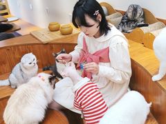 -有猫主题·治愈系猫咖(曾厝垵店)