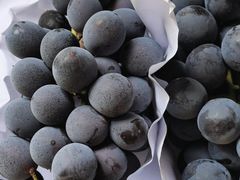 -马陆小张葡萄园农家乐