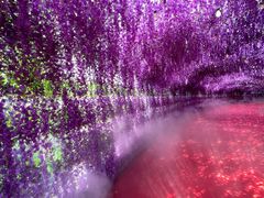 -天津方特欢乐世界