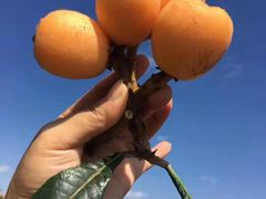 -五里多农博广场