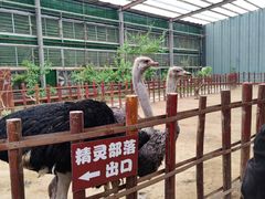 -呀路古热带植物园