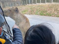 -西安秦岭野生动物园
