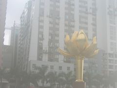 -金莲花广场