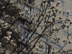 -龙头寺公园