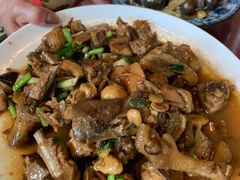 现杀果园鸡—黄焖鸡-生态苑农庄(十里画廊遇龙河店)