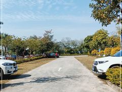 -南宁花花大世界景区