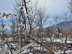 -阳台山自然风景区