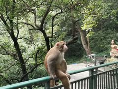 -黔灵山公园-南门售票处