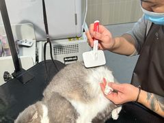 -小呆的宠物店·宠物售卖·宠物寄养(城西店)