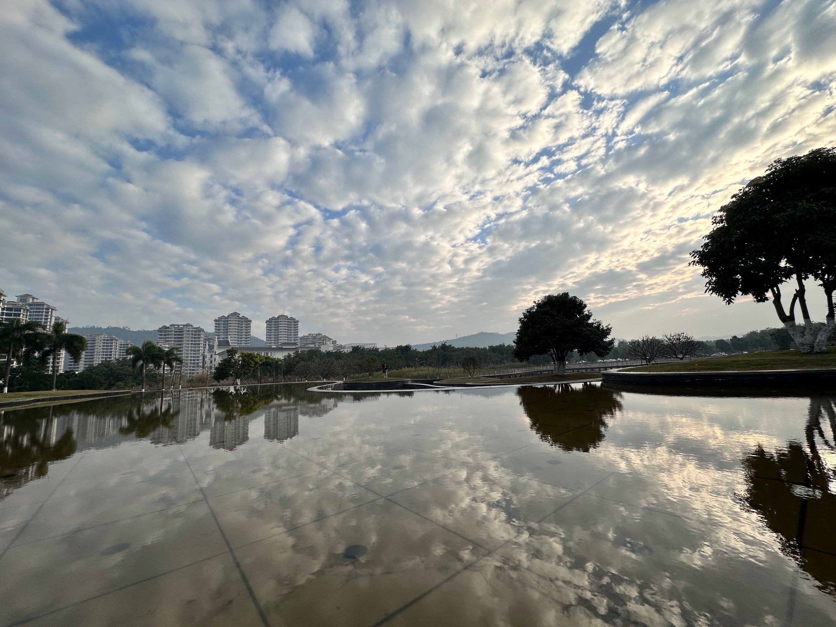 珠海横琴花海长廊图片图片