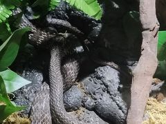 -顺德南宏海立方海洋公园