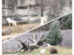 -杭州野生动物世界