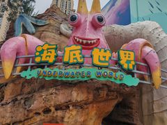 -海合安成都极地海洋公园
