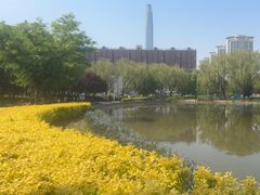-泰丰公园