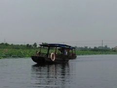 -陶辛水韵