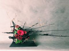-荷兰布尔玛国际花艺学院