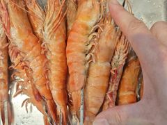 -今鲜源酒店·海鲜锅贴青岛菜(新湛路店)
