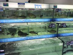 -沃尔玛(星湖商业城店)