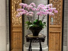 -龙悦湾酒家·八阵鱼生·渔人码头店