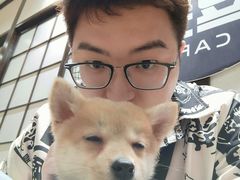 -逗柴咖啡屋·狗咖猫咖宠物桌游