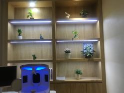 -苑苑vbeauty科技美容SPA
