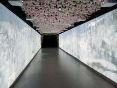 -国信南山温泉