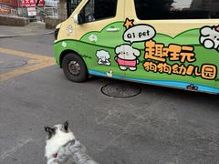 -趣玩宠物乐园寄养训犬训狗游泳池