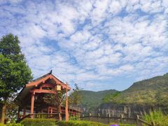 -武陵山森林公园