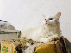 -无锡天鹏食品城