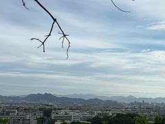 -仙岳公园