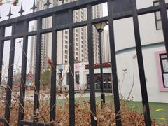 -红杉树紫金幼儿园