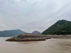 -花岙岛