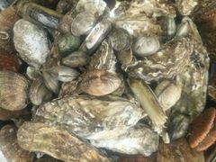 -山东八大碗山东老字号