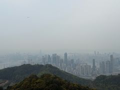 -大金鹰园