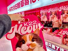 -K22.酸奶草莓(烟台芝罘店)