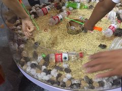 -东浩兰生上海世博展览馆