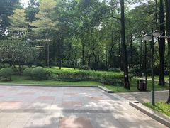 -广州珠江公园