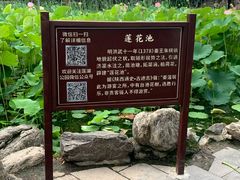 -莲湖公园