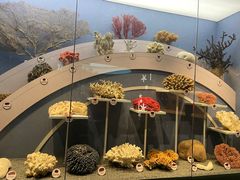 -中国湿地博物馆