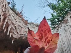 -仁爱团泊湖温泉中心